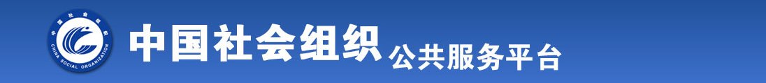 6yy8cc全国社会组织信息查询